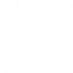 Profile picture of Centreal Bazaar