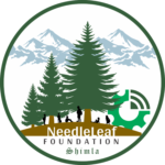 Profile picture of needleleaffoundation